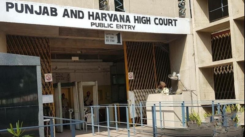 Punjab and Haryana High Court 
