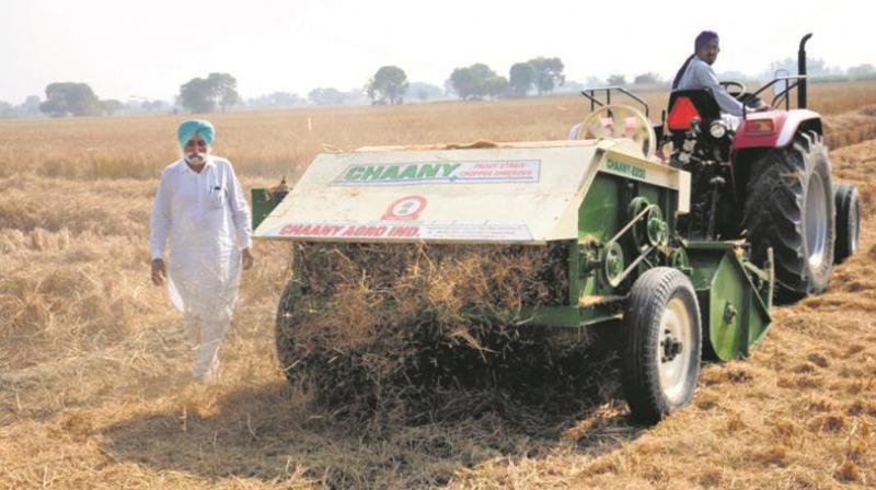 Centre allots Rs 600 crore to state govts for paddy straw management
