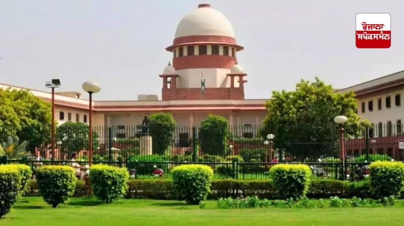 Central government should establish special POCSO courts on priority basis Supreme Court News