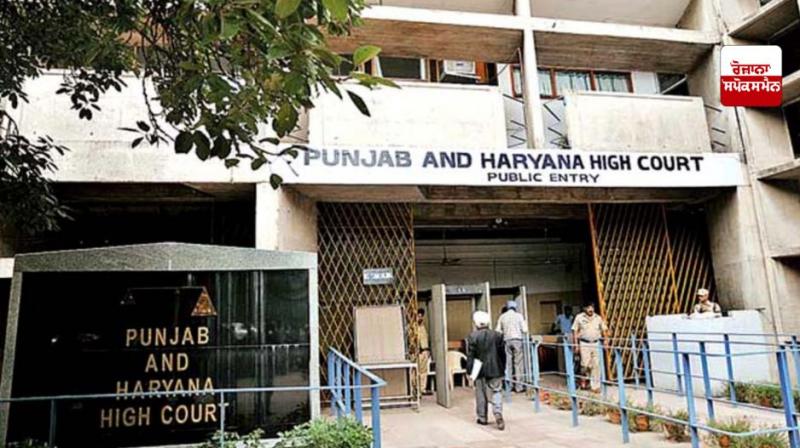 punjab and haryana high court