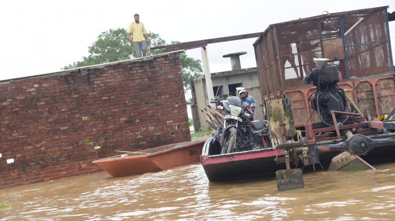 Punjab Flood News in punjabi