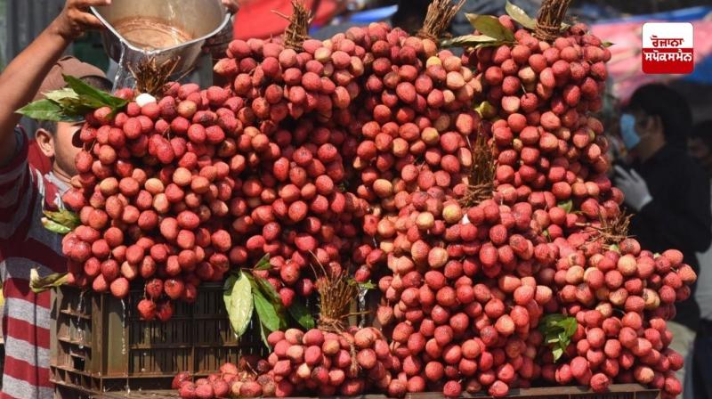  ਭਾਰਤ ਨੇ ਪਠਾਨਕੋਟ ਤੋਂ ਕਤਰ ਨੂੰ ਗੁਲਾਬ ਦੀ ਖੁਸ਼ਬੂ ਵਾਲੀ ਲੀਚੀ ਦੀ ਪਹਿਲੀ ਖੇਪ ਭੇਜੀ ਗਈ