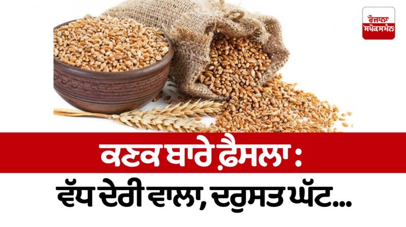 Decision on wheat: more delayed, less accurate...