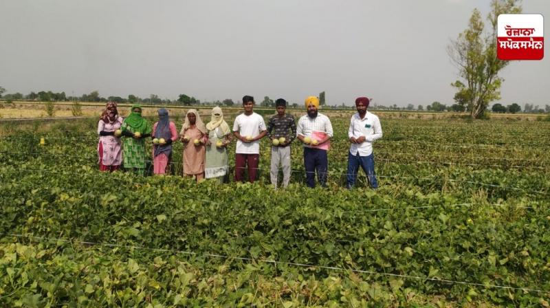 Cultivation of out-of-season vegetables can be beneficial