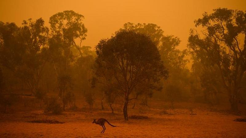 Australia and New Zealand