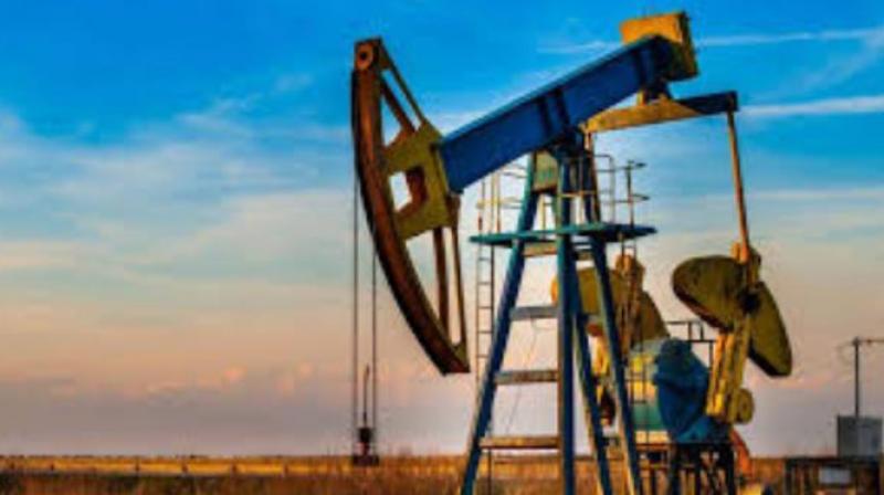 Massive oil gas reserves found in Pakistani 