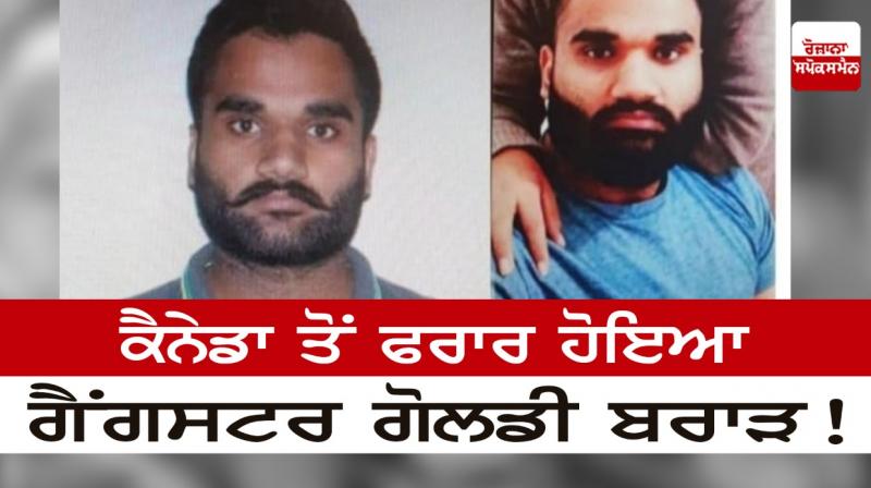 Gangster gangster Goldie Brar escaped from Canada!