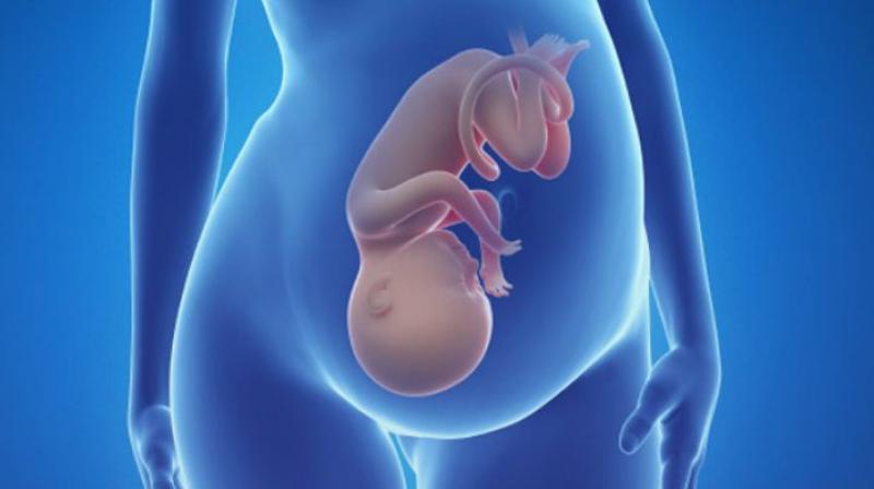 Now Embryo's 3D photo is possible to taken