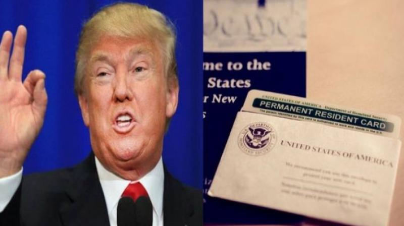 Donal Trump, Green Card