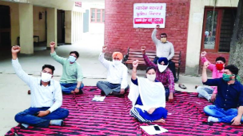 ਡੇਰਾਬੱਸੀ ਬੀ.ਡੀ.ਪੀ.ਓ. ਦਫ਼ਤਰ 'ਚ ਰੋਸ ਪ੍ਰਦਰਸ਼ਨ ਕਰਦੇ ਹੋਏ ਨਰੇਗਾ ਮੁਲਾਜ਼ਮ।