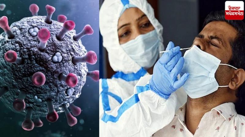 India Covid 19 cases News in punjabi 