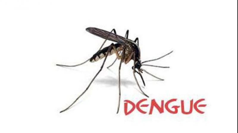 Dengue