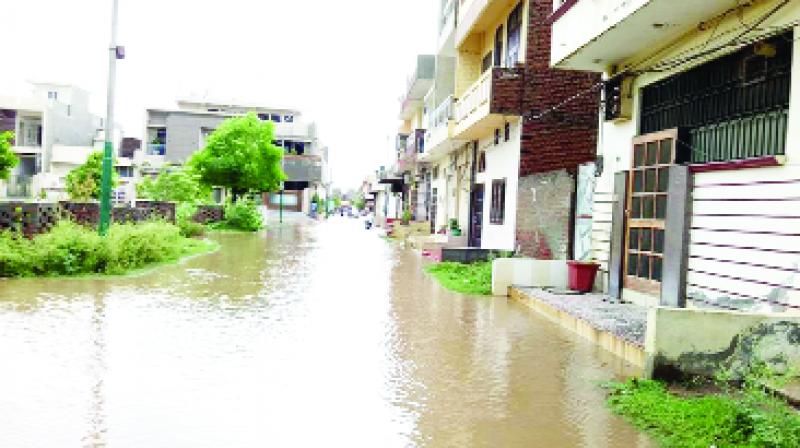 Worst Condition Due to Bad Severage