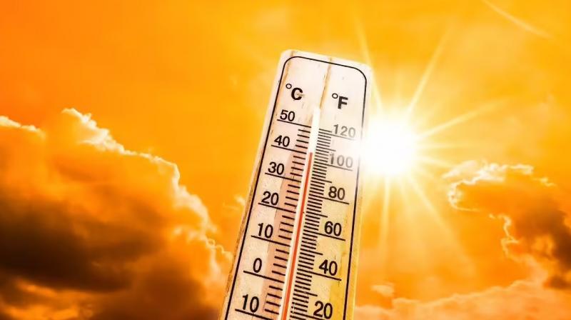 Punjab Weather Update News in punjabi 