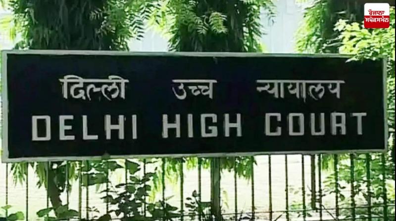Delhi High Court dismisses petition filed by Pakistani woman