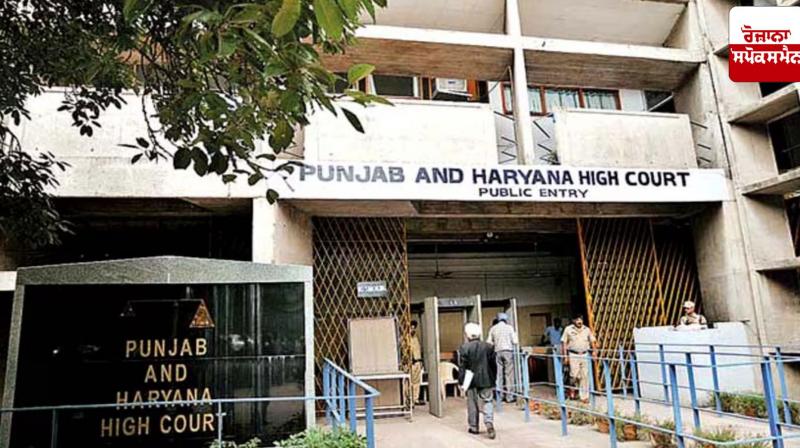 High Court reprimands for making baseless allegations in NDPS cases