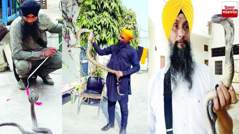 Joga Singh Kahlon Snake News in punjabi 