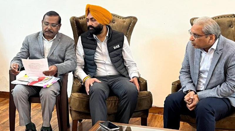 TRANSPORT MINISTER GIVES TARGET TO REDUCE MORTALITY RATE IN ROAD ACCIDENTS BY 50 PERCENT