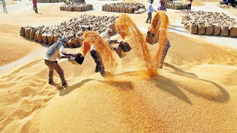 Grain Market (file photo)