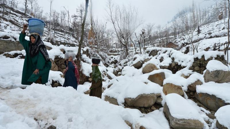 Kashmir Cold