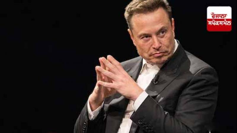 Government employees protest Elon Musk's policies