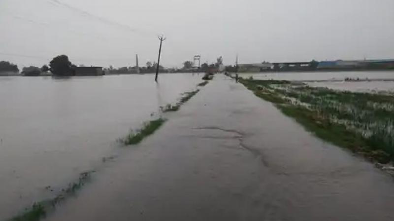 Flood alert in Gurdaspur