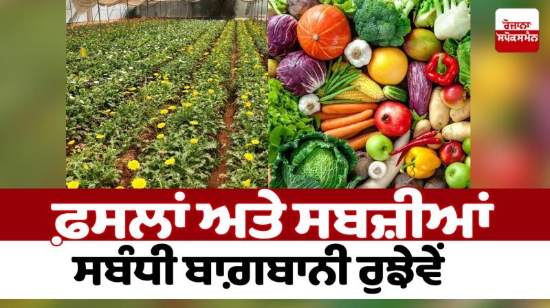 Horticultural activities related to crops and vegetables Farming News