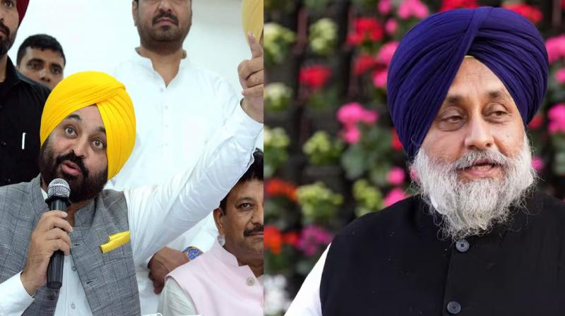 Cm Bhagwant Mann, Sukhbir Badal 