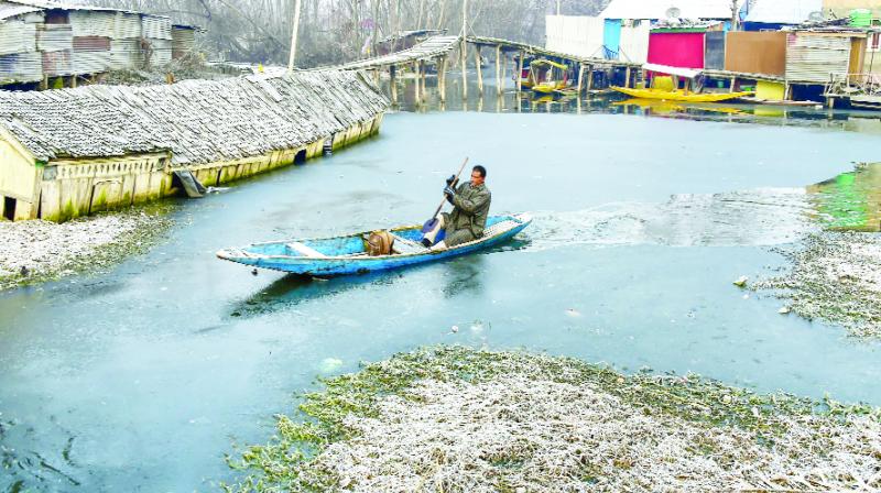 no relief from the cold wave yet, the temperature falls further