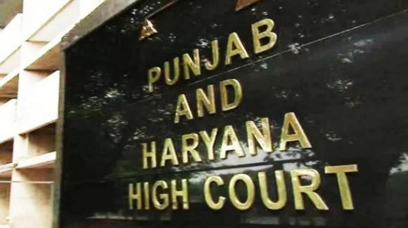 Punjab Haryana High Court