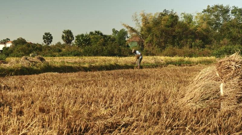 Bhikhiwind government farmers