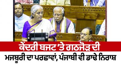 The shadow of alliance compulsion on the central budget, Punjabis are also deeply disappointed
