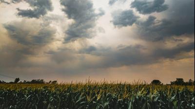 Alert of heavy rain in these districts of Punjab