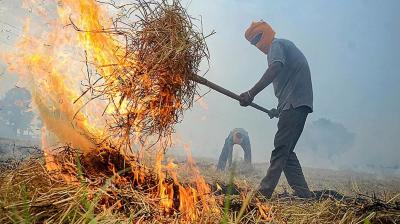  Stubble Burning News