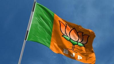  Municipal Election Results