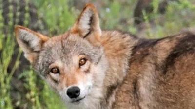 Representative Image.