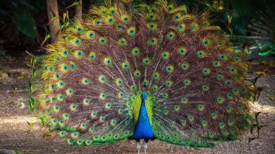 Representative Image.