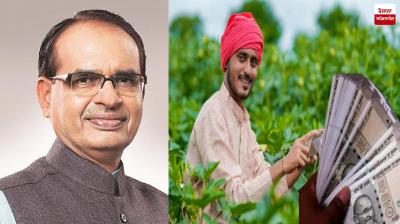 Big news for lakhs of farmers, opportunity to sell 100% pulses at MSP for 4 years Latest news in Punjabi