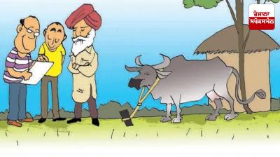 Buffalo population has decreased in Punjab, reveals report Latest News in Punjabi 