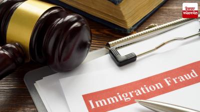 Punjab and Haryana High Court expresses concern over alarming increase in immigration fraud News in Punjabi