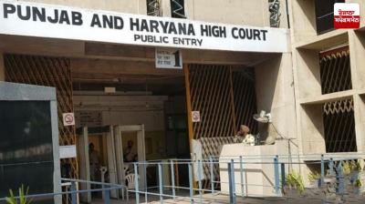 High Court Dismisses 7 Petitions in Corruption Cases Latest News in Punjabi 