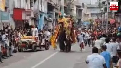 Elephant goes Out of Control during Jagannath Rath Yatra in Ahmedabad Latest News in Punjabi 