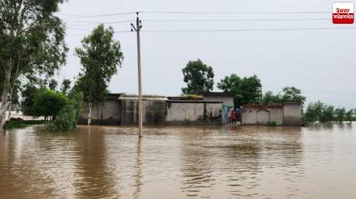 Flood-like Situation in Punjab, Know the Measures to Avoid Floods Latest News in Punjabi 