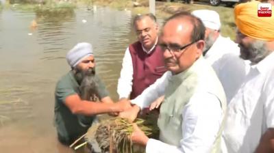 Floods Wreak Havoc in Punjab, Supreme Court Sends Notice to State Government Latest News in Punjabi 