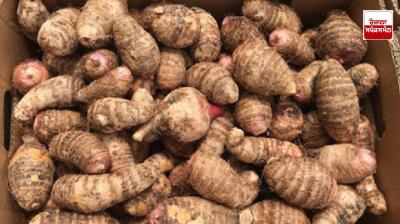 'Arbi' is a boon for heart and diabetes patients