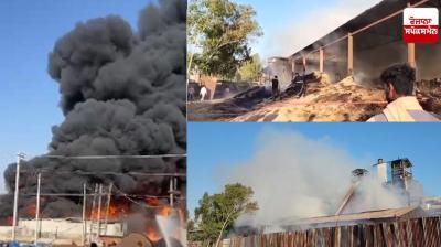 Fire broke out in a sugar mill in Jalandhar