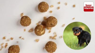 Poisoned laddoos fed to 22 puppies in Zirakpur