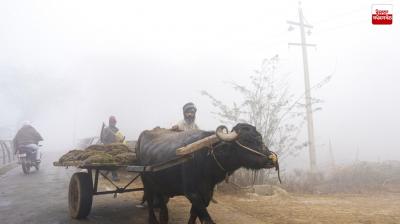 Punjab Weather Update