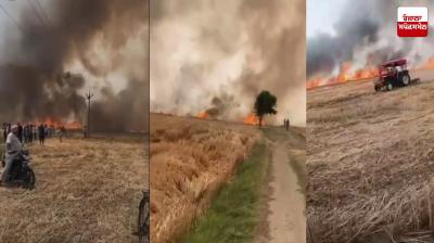 ਮਾਲੇਰਕੋਟਲਾ ਦੇ ਪਿੰਡ ਚੁਪਕਾ ’ਚ ਕਣਕ ਨੂੰ ਲੱਗੀ ਅੱਗ 