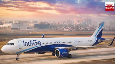 Passenger molested air hostess on IndiGo flight News